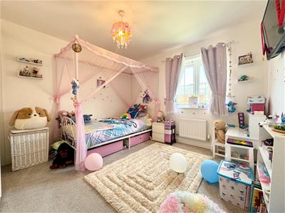 Picture 16